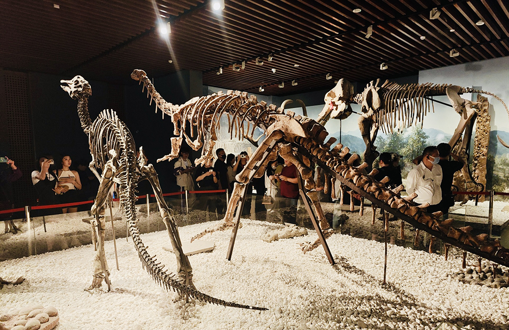 2024年職工療休養活動(dòng)之二 | 南京三日游(圖6)