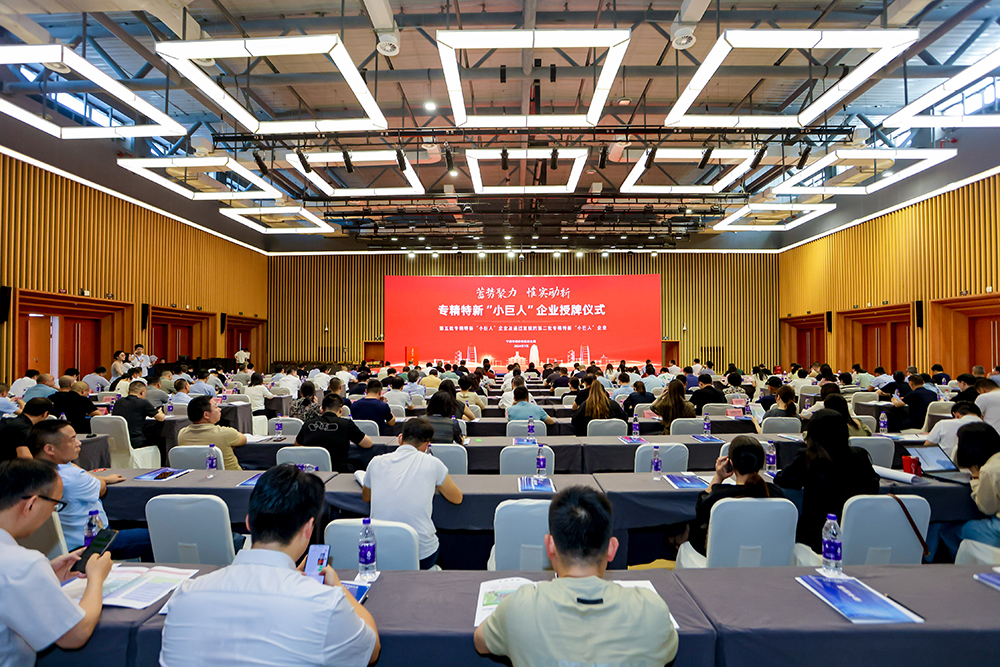 公司成功通過(guò)專(zhuān)精特新“小巨人”企業(yè)復評，創(chuàng  )新實(shí)力再獲認可(圖3)