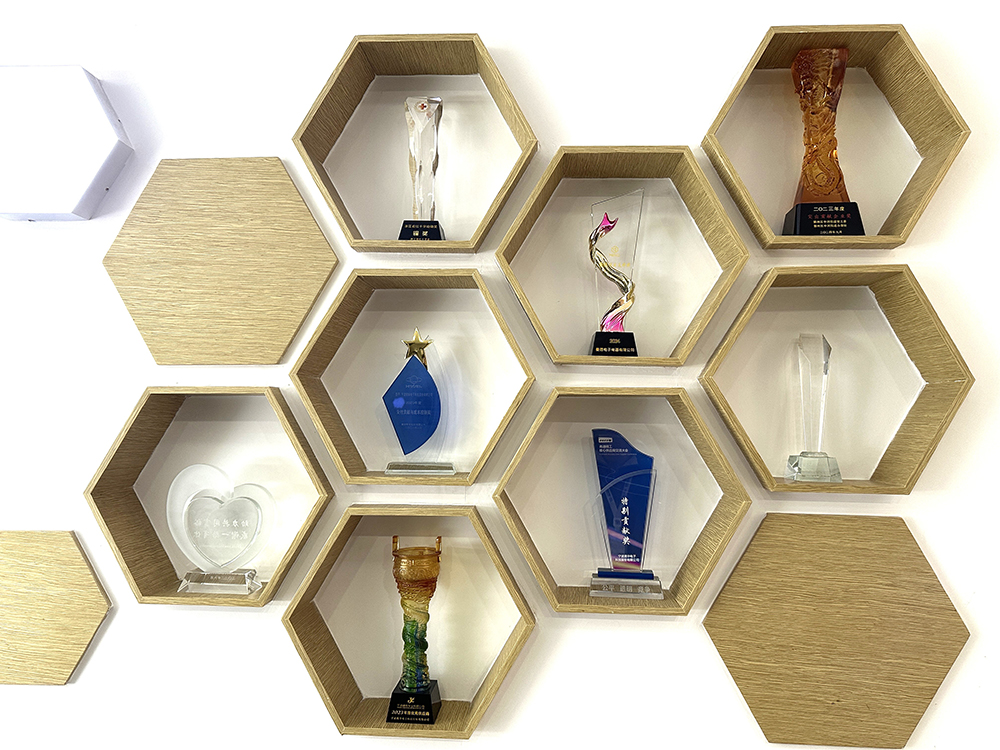 喜報 | 我司榮獲曼德“最佳項目支持獎”(圖4)