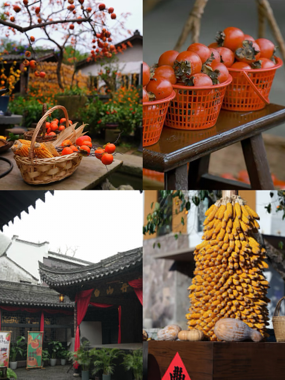 踏秋四明山，聚力向未來(lái) | 我們的四明山柿林村徒步之旅(圖3)