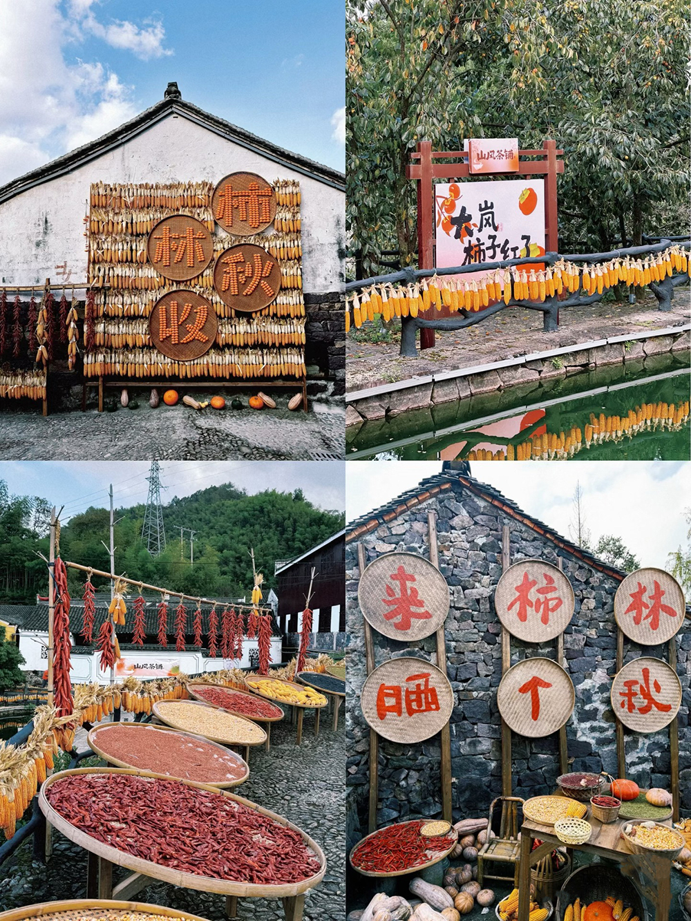 踏秋四明山，聚力向未來(lái) | 我們的四明山柿林村徒步之旅(圖2)